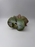 Hiusklipsi Matcha small